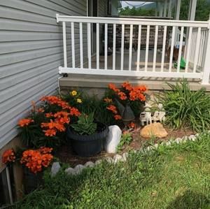 Meet your Posher, Betty